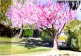 23 - Barbara Hilton - Blossom Time - Watercolour.JPG